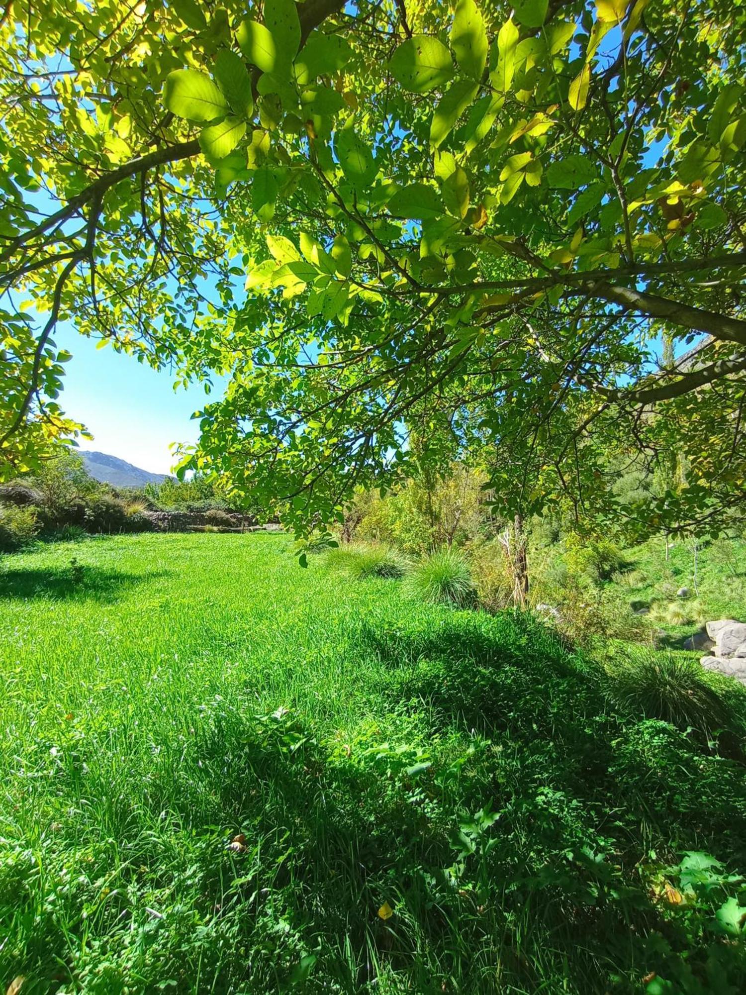 Gite Ogog Tacheddirt Bagian luar foto